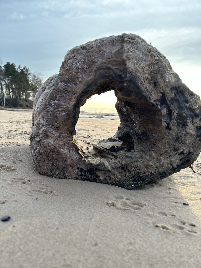 laikalinijudziedinasana(1) wsmall.jpg