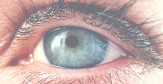 Enerģētiskie kursi